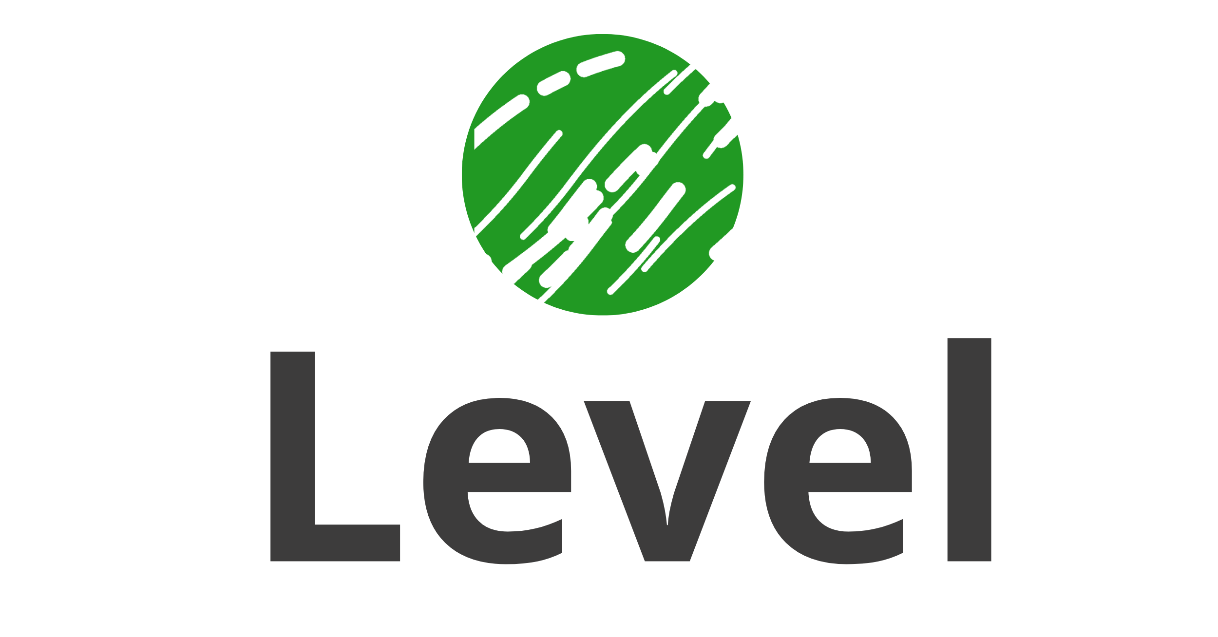 Level Logo